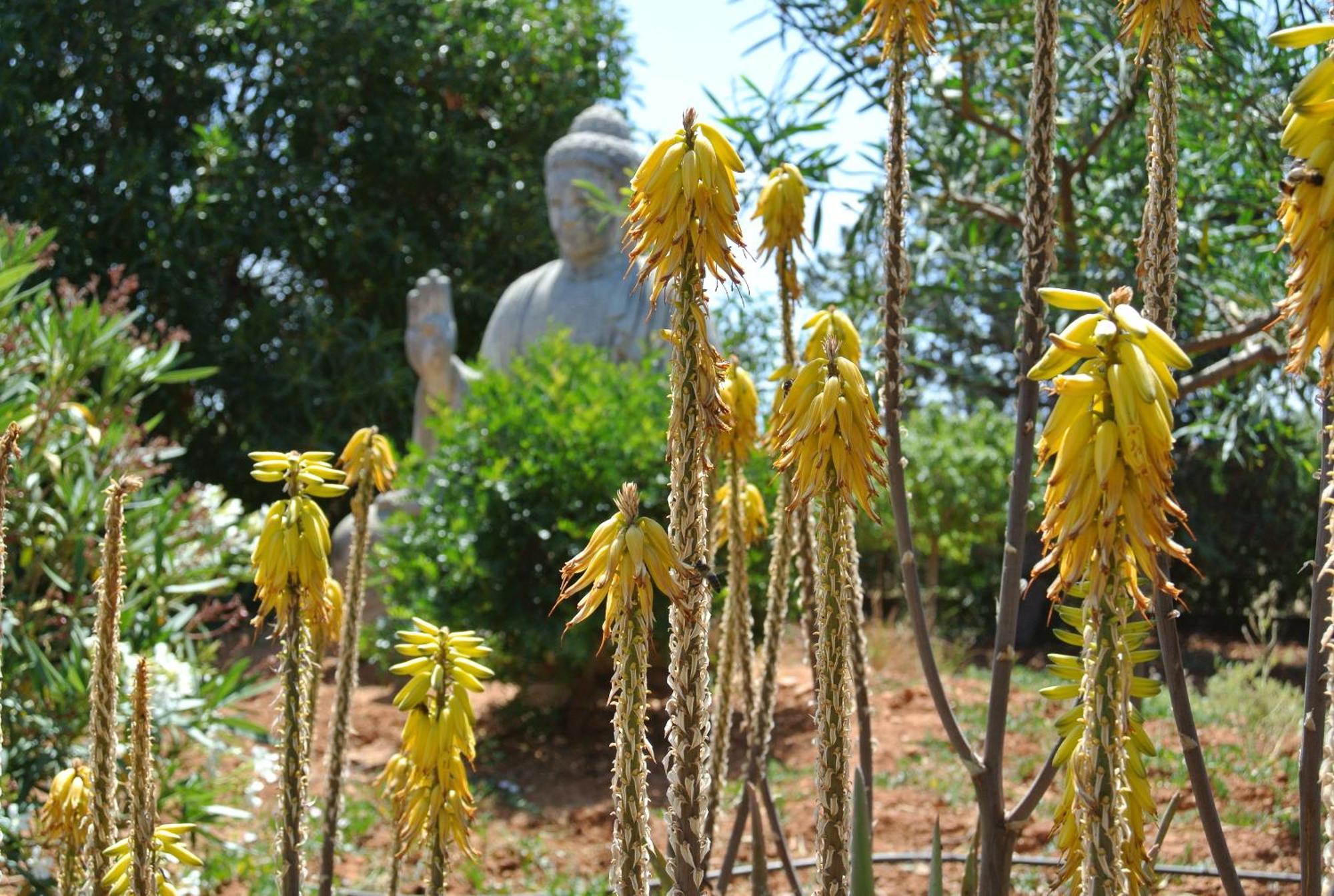 Agroturismo Finca Sa Tanca Cala D´Or 외부 사진