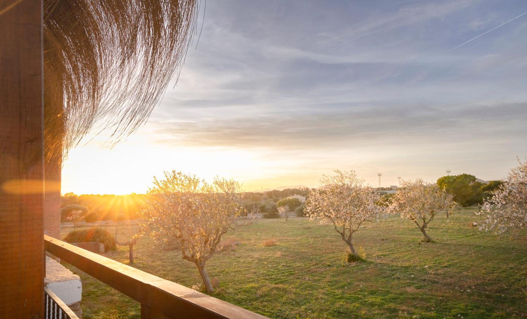 Agroturismo Finca Sa Tanca Cala D´Or 외부 사진