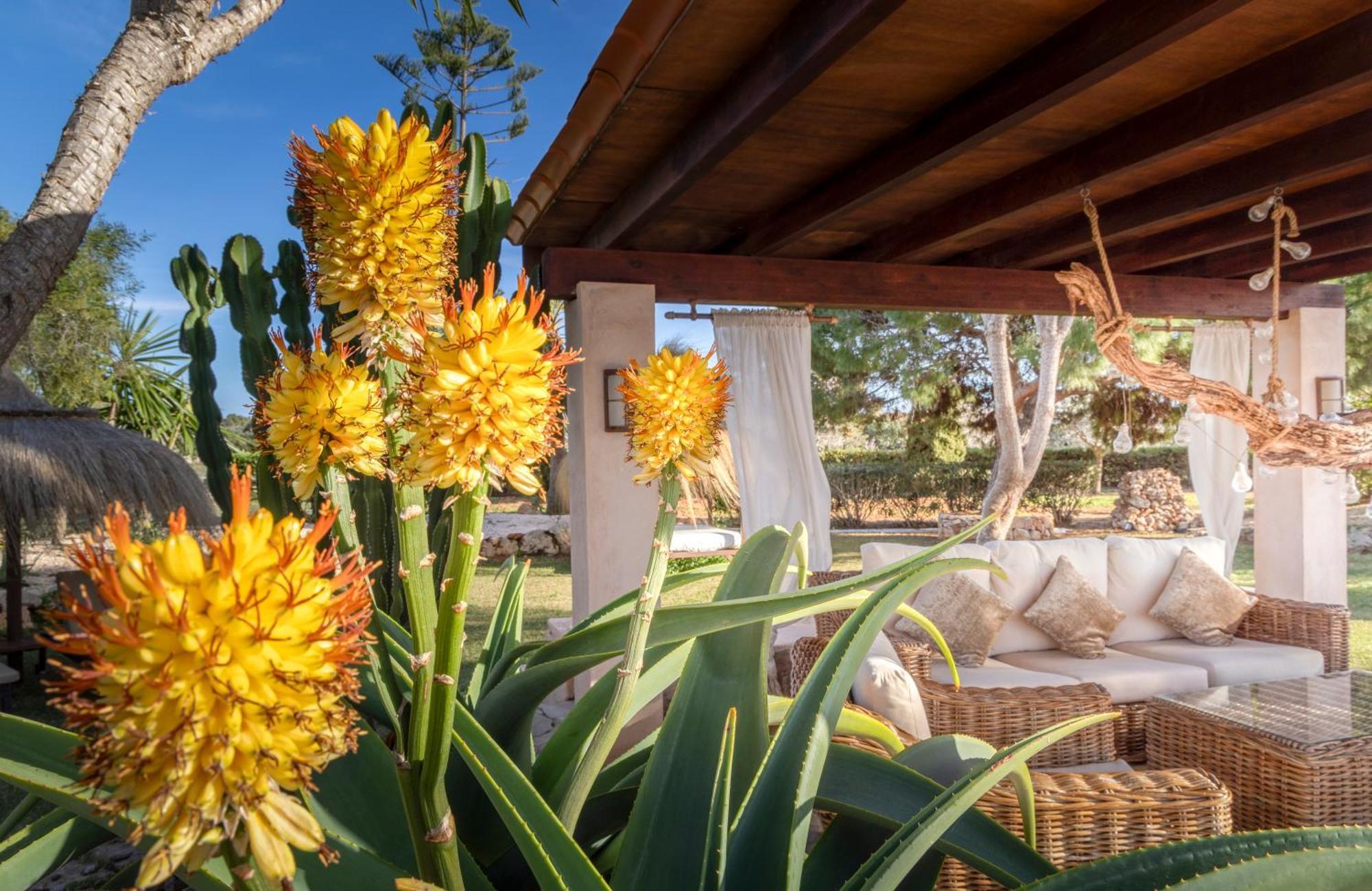 Agroturismo Finca Sa Tanca Cala D´Or 외부 사진