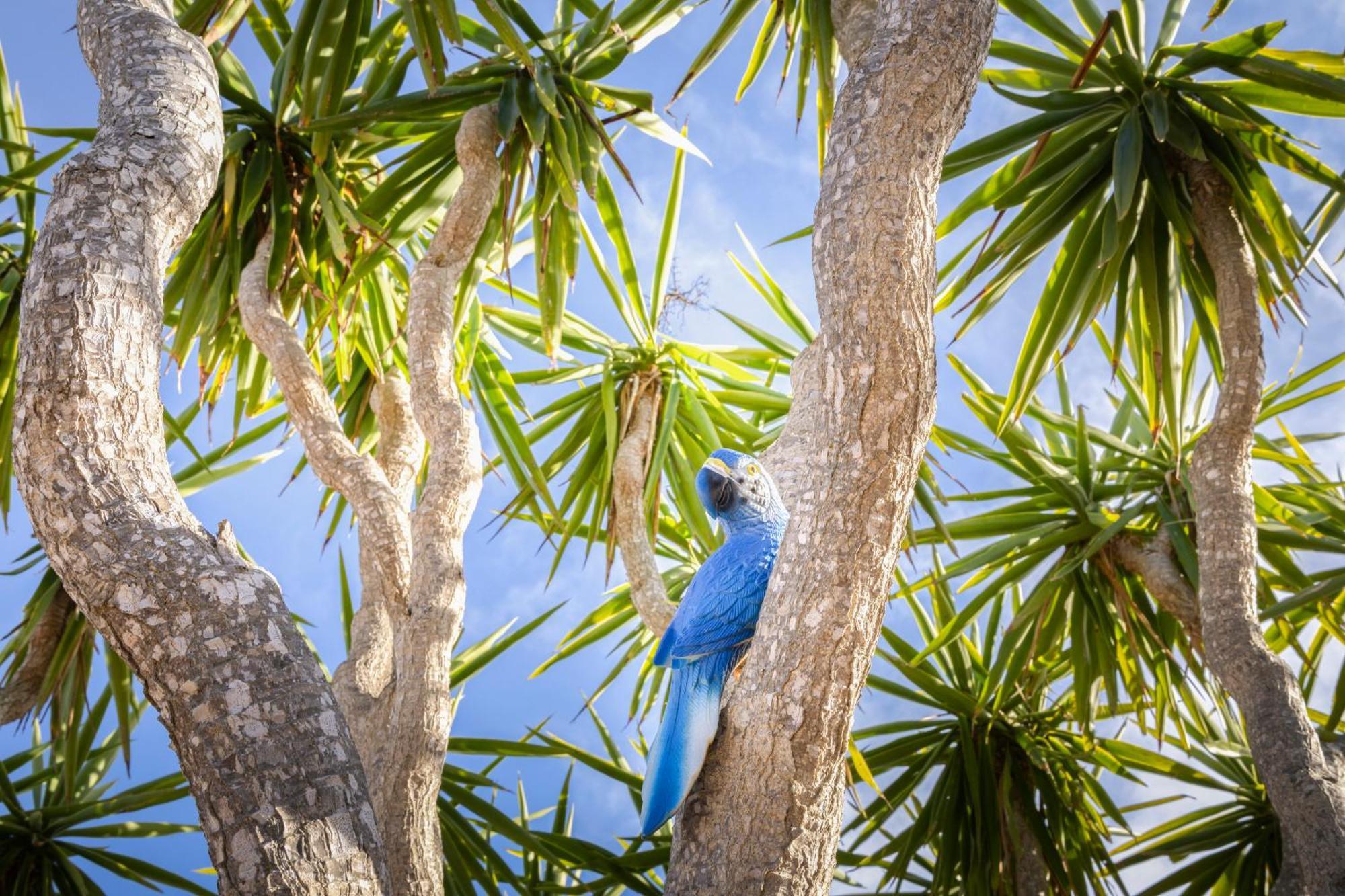 Agroturismo Finca Sa Tanca Cala D´Or 외부 사진